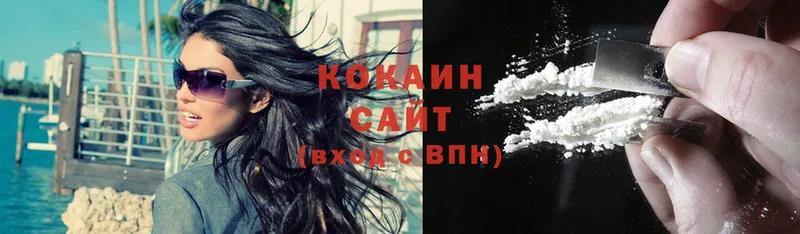 shop как зайти  хочу наркоту  Вязьма  COCAIN FishScale 